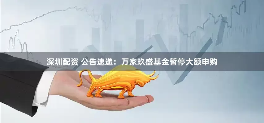 深圳配资 公告速递：万家玖盛基金暂停大额申购