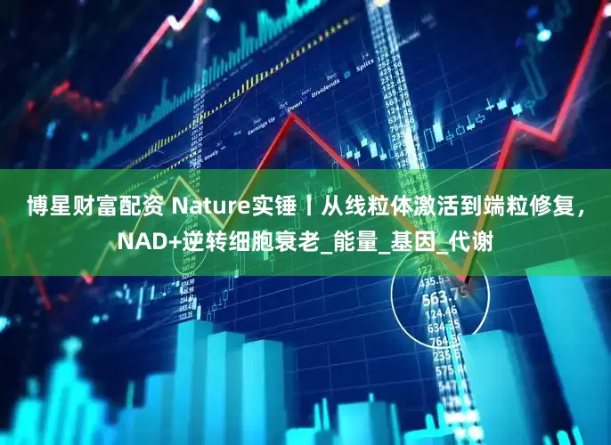 博星财富配资 Nature实锤丨从线粒体激活到端粒修复，NAD+逆转细胞衰老_能量_基因_代谢