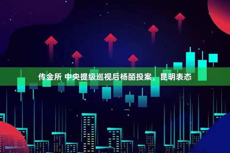 传金所 中央提级巡视后杨皕投案，昆明表态
