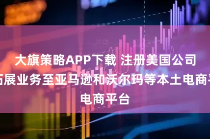 大旗策略APP下载 注册美国公司,拓展业务至亚马逊和沃尔玛等本土电商平台